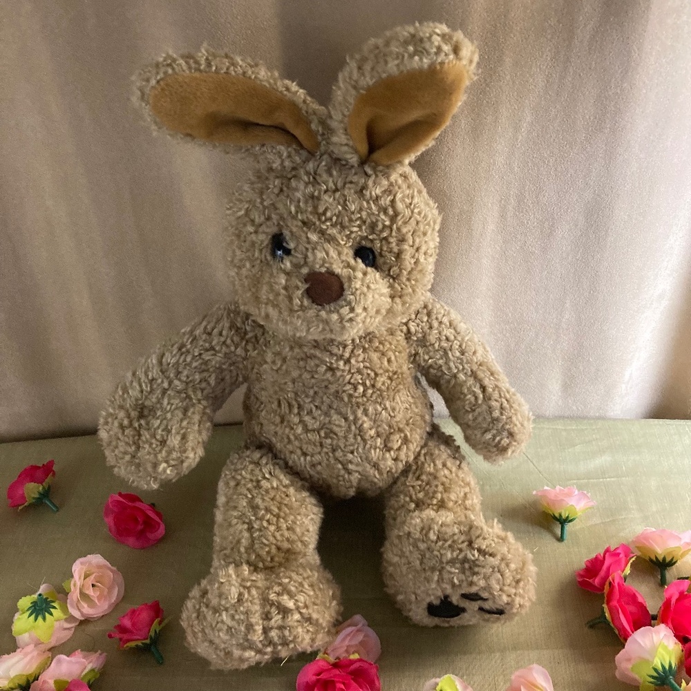 Build-A-Bear Brown Bunny Rabbit - 2 outfits included!